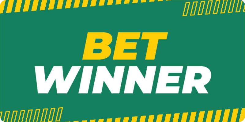 Everything You Need to Know About Betwinner Sports Betting 7