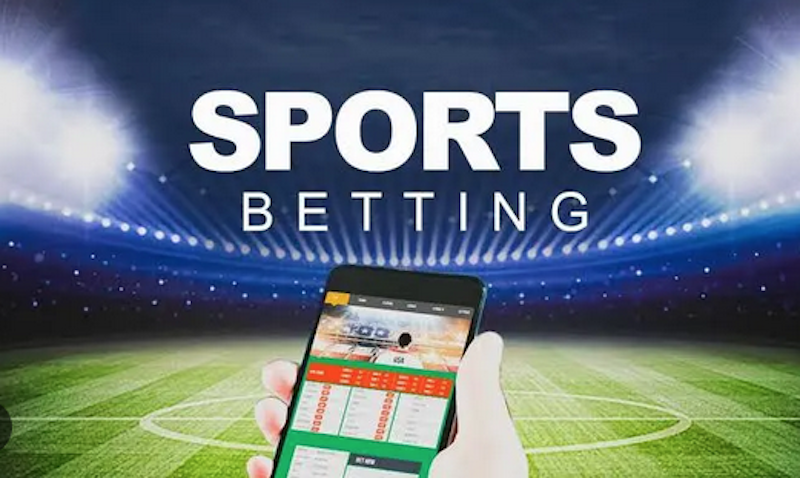 Descubra o Mundo das Apostas com Betwinner 0