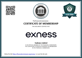 Discover the Exness Trading Platform Your Gateway to Financial Success