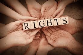 Defending Dignity The Role of Human Rights Lawyers in Society