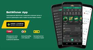The Ultimate Guide to BetWinner Casino & Sportsbook