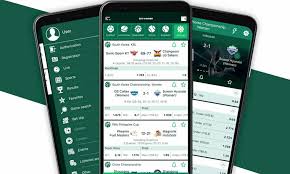BetWinner Gambling Platform A Comprehensive Overview -837389464